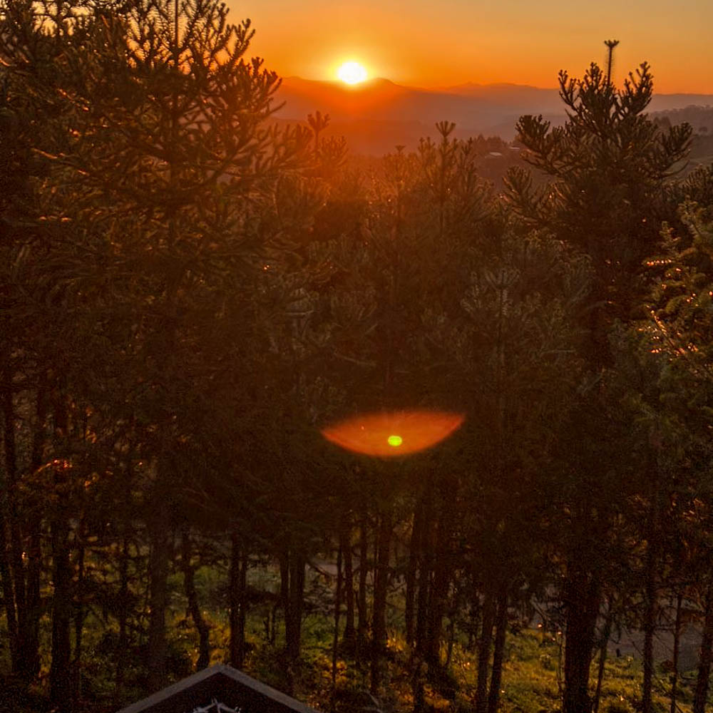 WhatsApp Image 2023-11-08 at 18.46.00-20